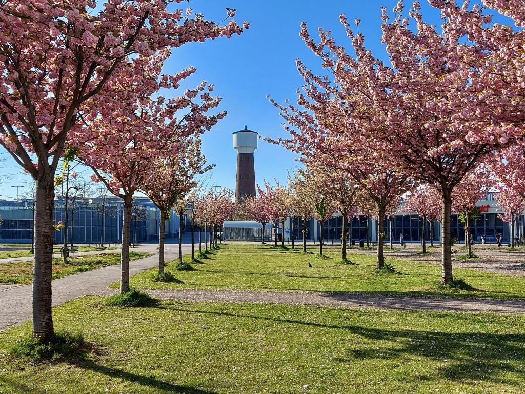 Köln-Kalk - 2021